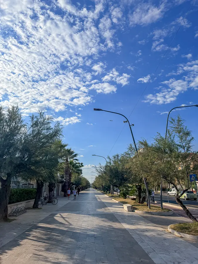 Un viale alberato con la pista ciclabile sotto un cielo con nuvole leggere